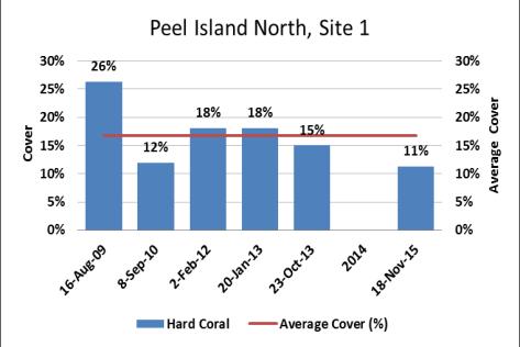 Recently killed coral, Peel Island North, Site 1 An average of 8% of the coral population and 41% of the coral colony was recorded as bleached.