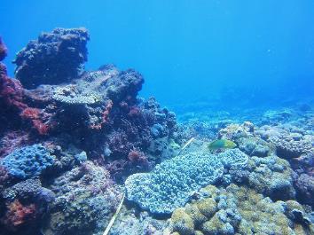 in South East Queensland. Flinders Reef is an established Marine National Park (Green) zone.