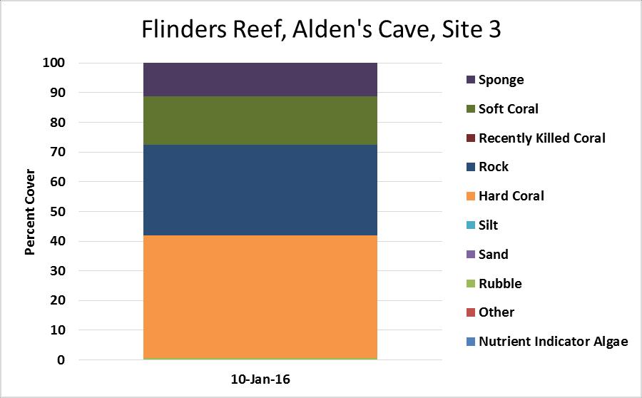 Site photo, Alden's Cave, Site 3 Hard coral accounted for 41% of the benthos, consisting primarily of encrusting growth forms (25%).