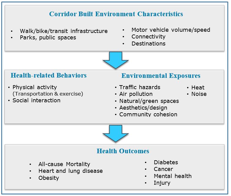 Figure 2. Connections between S. Lamar corridor and public health outcomes 3.2.1.