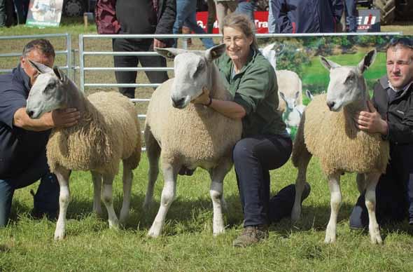 Champion Progeny Group - (Traditional Type) M & N Gray Peebles Progeny Show This year s Scottish Region Progeny Show was kindly hosted by Peebles Show on Saturday 15th August.