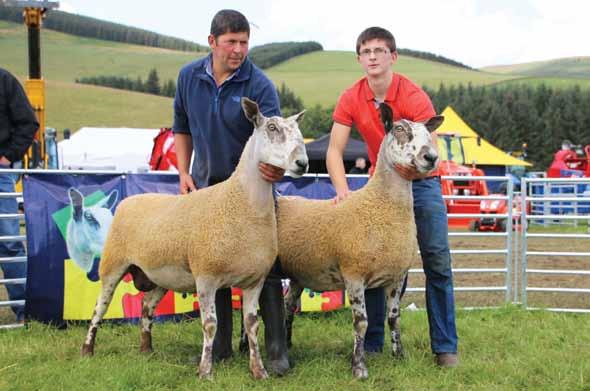 Champion Progeny Group - (Crossing Type) J Wight & Sons Julie Loughery In the crossing type ring Graham Loughery awarded his champion to an eye catching homebred gimmer from M R Thornborrow & Sons,