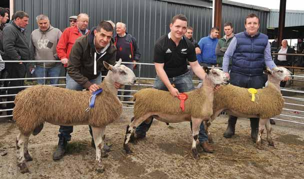 The lamb sired by Tanhouse Farm B4 and out of a dam by Midlock Controversy went on to sell for a sale record of 2000 Euros.