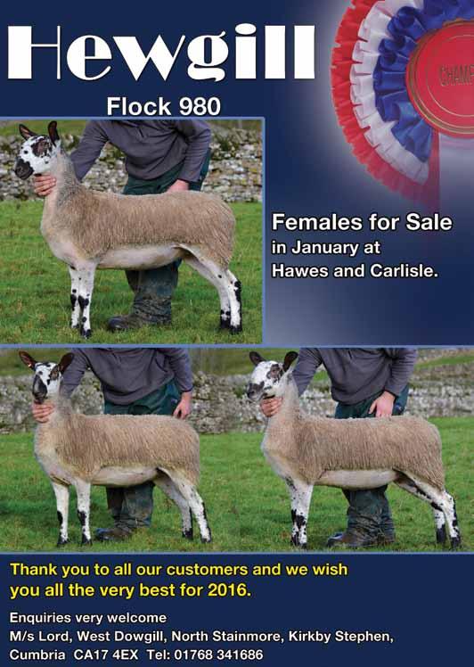 Wales I can t quite believe that it is that time of year again to put together this small report for the Autumn Review. Rams are with the ewes again, so the cycle continues.