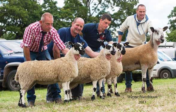 By The Same Sire 1-M Drummond, 2-W C Porter & Son Three Ram Lambs By The Same Sire 1-M W & C M Ridley, 2-M W & C M Ridley, 3-B Welsh Three Ewe Lambs By The Same Sire 1-M James & T Jones, 2-C T & J E
