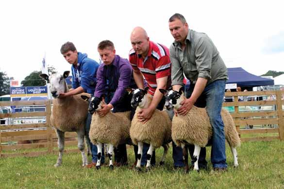 Champion Mule Progeny Group - J Mills Julie Loughery Progeny Champion Group - G & J Loughery Reserve Group - J Adams & Sons Three Shearling Ewes With Their Sire - J Adams & Sons Three Ram Lambs With