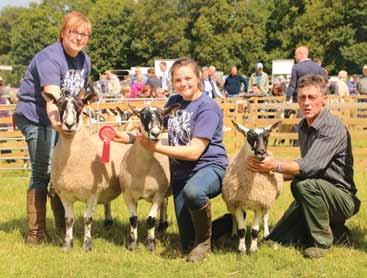 Michelle Wright, Mullaghwee was winning the Reserve Champion Mule in the individual class with her 1st Prize gimmer sired by a homebred son of their Forebrae stock tup.
