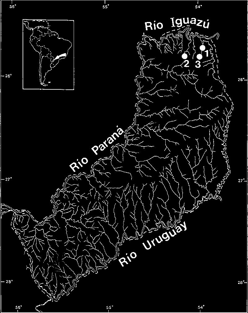 65 Fig. 5. Distribution of Bryconamericus ikaa in province of Misiones, Argentina: 1, arroyo Verde; 2, arroyo Deseado, road 101; 3, arroyo Tateto (type locality). Fig. 6.
