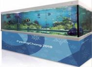 Ultra-Wide Vision Olympic Winter Games PyeongChang 2018 and ICT promotion video on an ultrawide (15 4 )