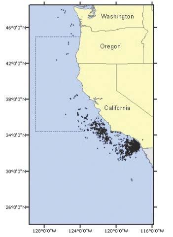 A separate closure may be implemented in the Southern California Bight to minimize interactions between loggerhead sea turtles and the DGN fishery.