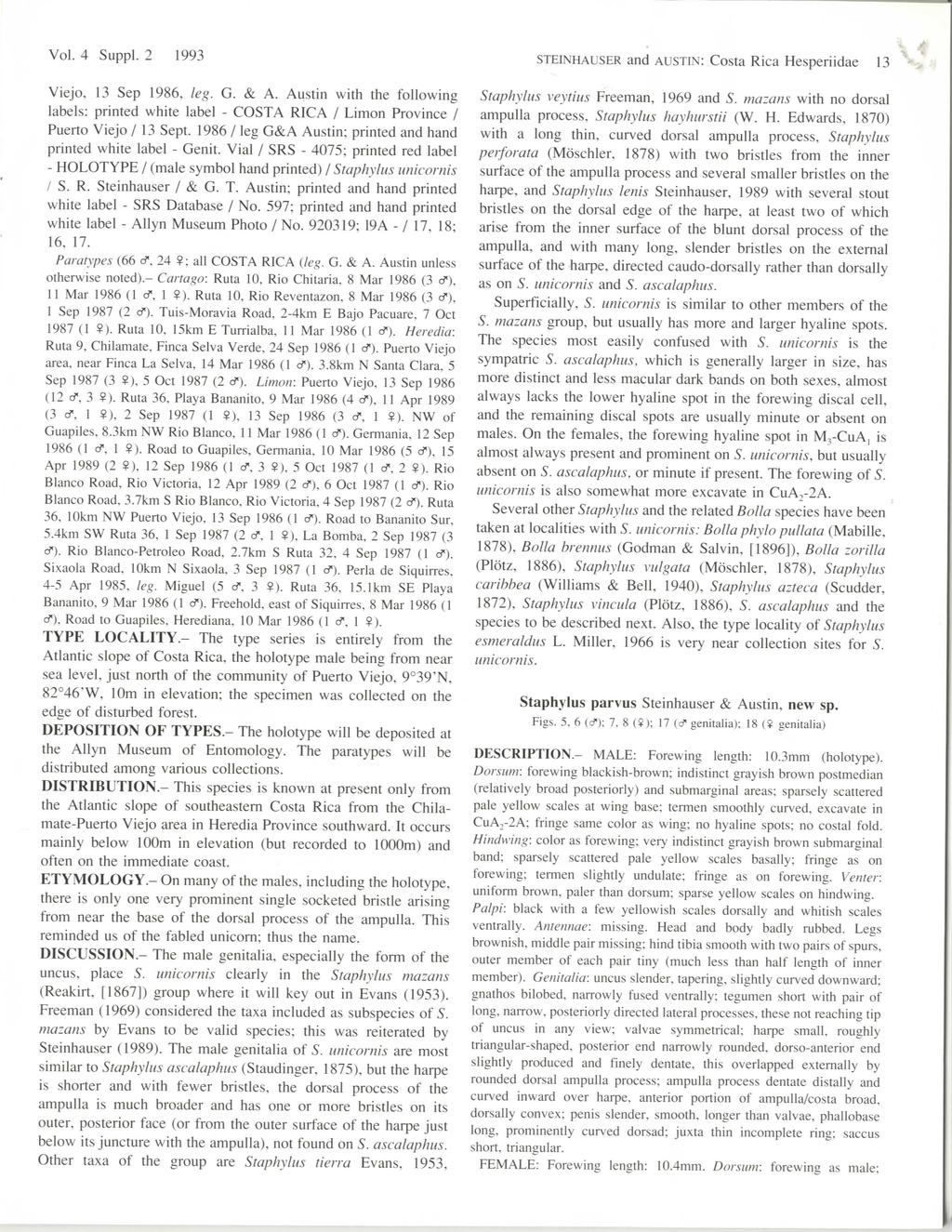 Vol. 4 Suppl. 2 1993 STEIKHAUSER and AUSTIN: Costa Rica Hesperiidae 13 Viejo, 13 Sep 1986, leg. G. & A.