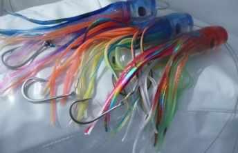 When choosing lures we tend to specify them according to the species of fish we most desire to catch, such as Blue Marlin lures, Sailfish lures, Tuna lures, Wahoo lures, etc.