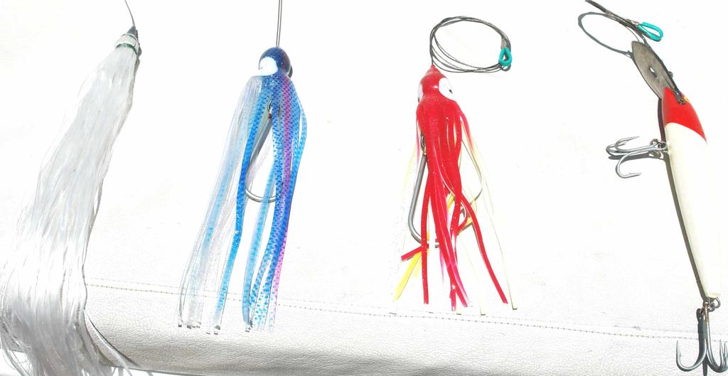 The crew will deploy various types of fishing lures for mainly trolling throughout the entire duration of your fishing trip to target these game fish depending on the time, day and sea conditions.