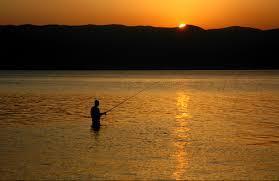 Fishing in lakes and ponds is a good place to start because they are great places for fish to live. They produce abundant plant food and offer plenty of cover for fish to hide.