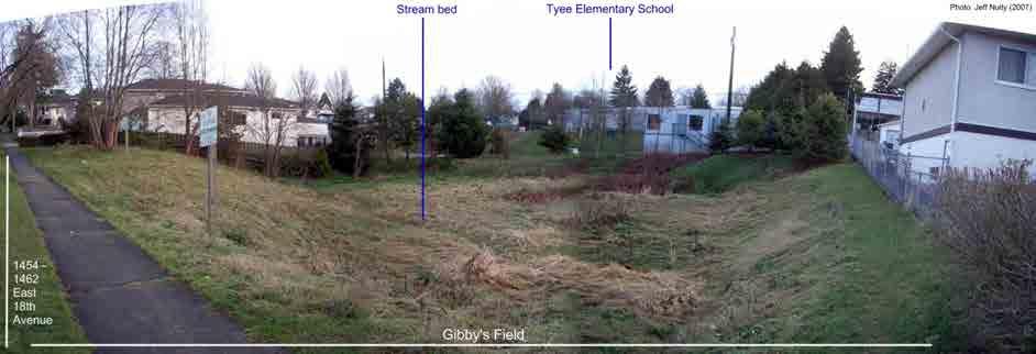 Gibby s Field bringing an empty lot and an old stream bed
