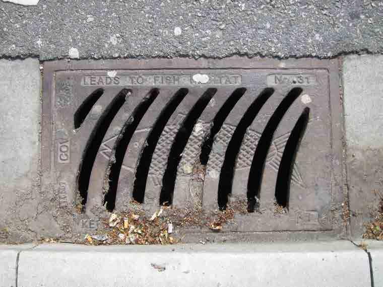 have the city stamp this on the drains.
