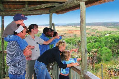 time, under special supervision by the Shamwari veterinarian team, for release back into the wild Special Notes Children staying at Riverdene Family Lodge can partake in various social, sporting,