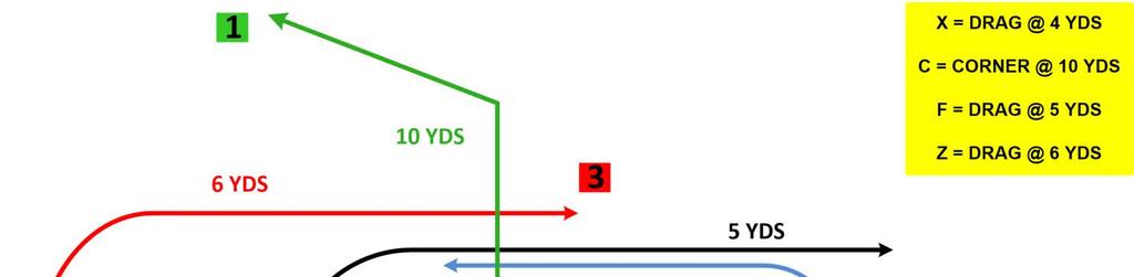TWINS RT/LT PANTHER PASS Under Center: Take a 5 step drop. Shotgun: Catch the snap. Take a 3 step drop. Read: C-X-ZC Look to throw the ball to the Center first if he can win deep.