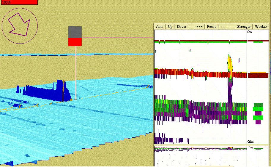 Acoustic Survey Cruise Reports ICES Divisions VIIb, j & g and VIIaS Cross-section of the wreck the FV Ardent Old Head of Kinsale.