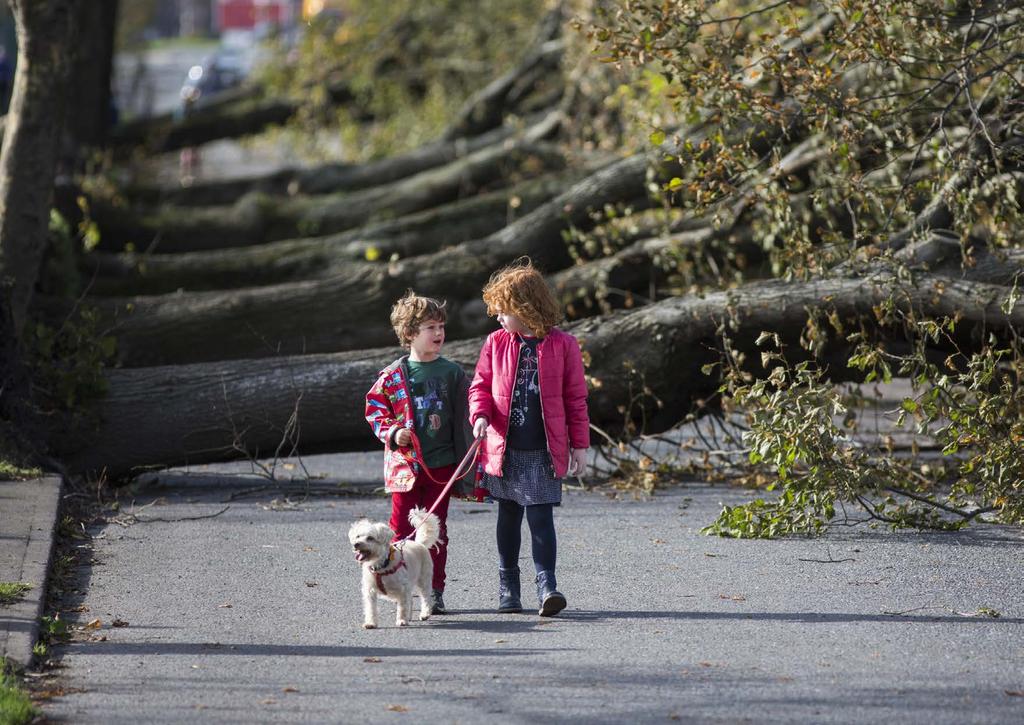 AFTER THE STORM PHOTOGRAPH: MARK CONDREN Elsa (7) and Tom (5) Dollard on Centre Park Road in Cork after Hurricane Ophelia.