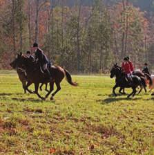 $500 (per person) MOUNTED FOX HUNTING (Offered September to March) For experienced equestrians comfortable posting the trot in English tack and galloping rugged terrain. Jumping optional.