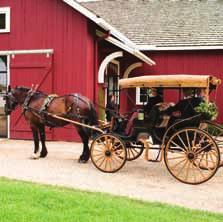 Experience scenic vistas and pure mountain streams from the cozy comfort of a horse-drawn carriage.