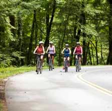 Or if you seek a more leisurely pace and comfortable sightseeing, try our Trek hybrid bikes.we will help you find your favorite distance 5, 20 or 60 miles and your favorite route.
