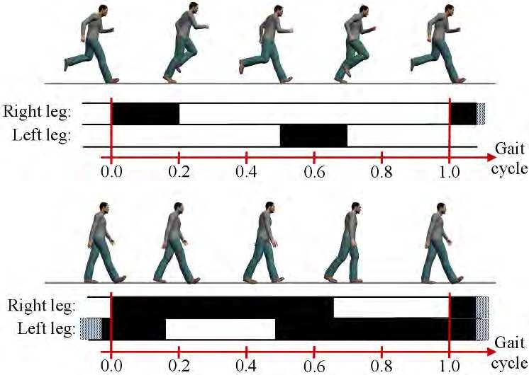 Recognizing Human Gait Types 187 Fig. 2. Illustration of the duty-factor. The duration of a gait cycle where each foot is on the ground is marked with the black areas.