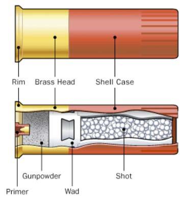 Shotgun Shells Cartridges filled with lead shot are the most common type of shotgun ammunition. Shot consists of small, round lead pellets.