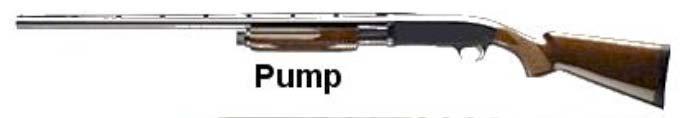 2. Pump Action Although there are exceptions, most single-barreled pump guns have magazines, located under the barrel that can hold 3 to 10 or more shotgun shells.
