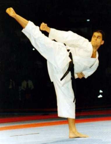 of WKF Athletes Commission Member of World Rules Commission