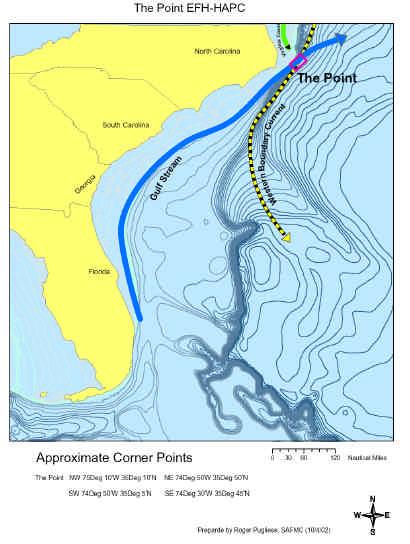 4.0 Environmental Consequences The Point The Point off Cape Hatteras is also highly productive due to the confluence of as many as four water masses.