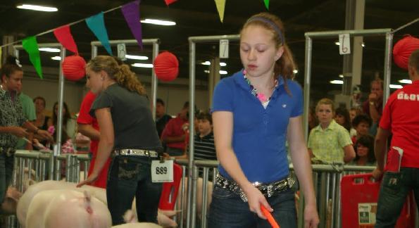 Remove Wood Shavings or Straw Young exhibitors
