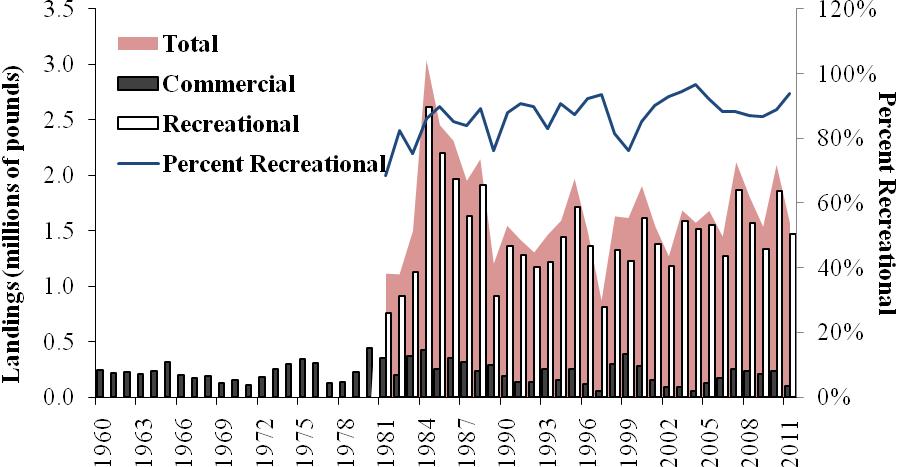 Figure 5. Commercial and recreational landings (pounds) of red drum.