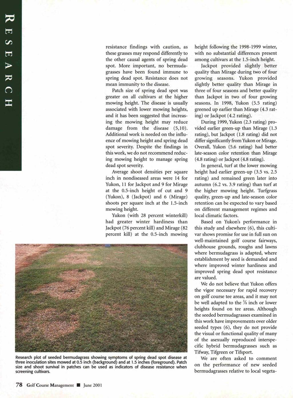 resistance findings with caution, as these grasses may respond differently to the other causal agents of spring dead spot. More important, no bermudagrasses have been found immune to spring dead spot.