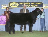 Two Great Daughters of GVC Jazzmyn 001L! MISS GREEN VALLEY 602S AMAA COW 367595 89.