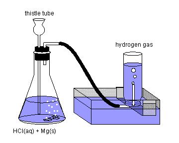 Dalton s Law Continued: Water displacement of gas: P atm = Gases given off from the rxn travel through the tube and into the adjacent container for collection Gas is impure and contains some water