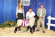 Norman Levine, Jason Emke The Levine Achievement Award, the most coveted award of the Royal Agriculture Winter Fair Sheep Show donated by Dr.