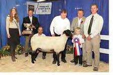 Breeding Sheep- Trophy Classes Grand Champion Ewe The