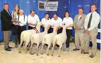 Freyseng Trophy Grand Champion Breeder s Flock The Cecil