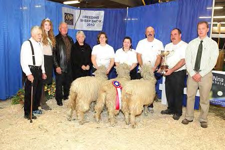 Breeding Sheep- Trophy Classes Grand Champion Get of Sire Long Wool The Eph Snell Memorial
