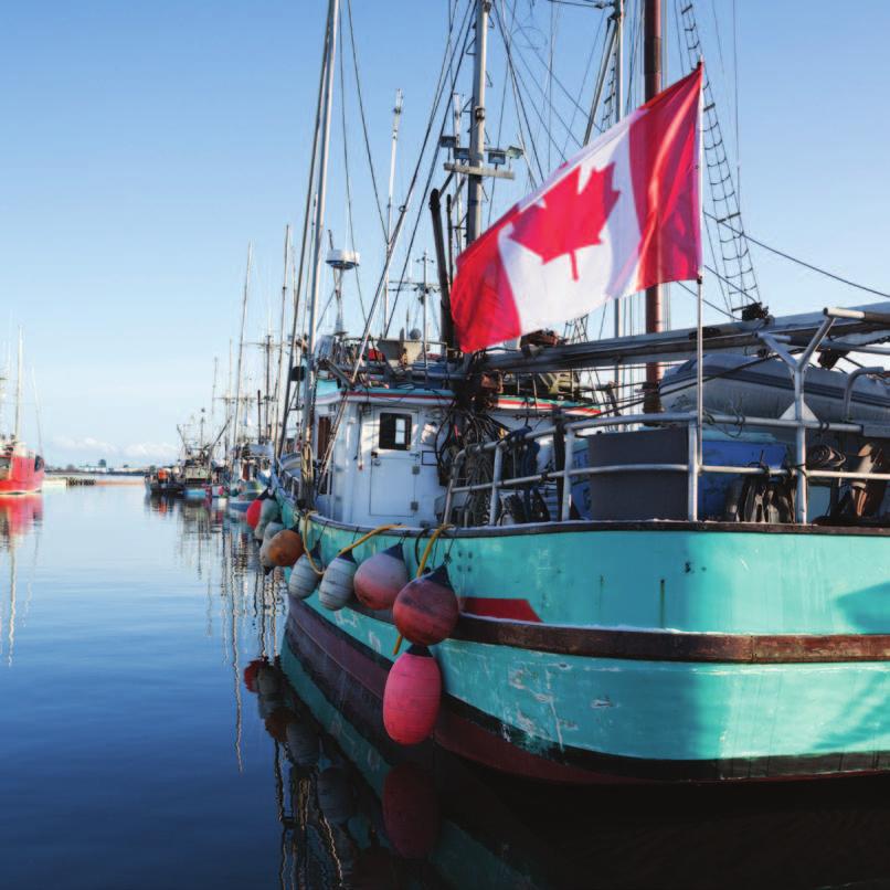In late 2016, Fisheries and Oceans Canada released the Sustainability Survey for Fisheries, providing data on 159 stocks selected for their economic, ecological and/ or cultural importance.