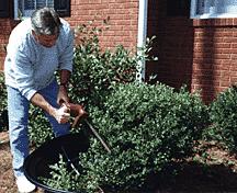 Natural Surveillance: Trim bushes and trees so that you maximize your visibility. Have a maintenance plan in place to keep sight lines clear. Clear your windows and view from clutter.