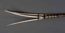 Item number: Fry0185 Item Number: Fry0185 Category: Dart - Bird Dart Materials: Wood and walrus ivory Description: Bird darts, two different styles, one with three forward prongs flaring outward, and