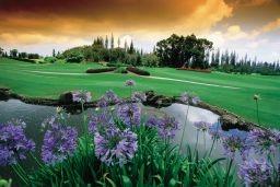 cart, green fees, range balls, prizes) 7 nights / deluxe rooms at The Ritz-Carlton, Kapalua 9 food functions: 1 cocktail party, 5 $48 food vouchers and 3 dinners (Merriman s, Fleetwood s and Sansei
