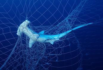 Environment Bycatch