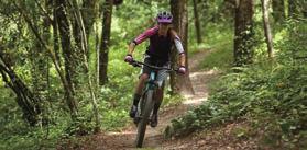 Your interest is piqued and you love to ride your mountain bike on cross country trails, but you are ready to take
