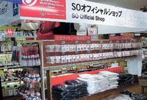 Organization and Budget Distribution and Sales of Products Ahead of the products' launch, information-exchange gatherings were organized to secure the speedy distribution and steady sales of the