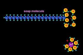 When soap is mixed with water, water molecules point their negative sides toward the sodium atom and pull it away from the oxygen atom.