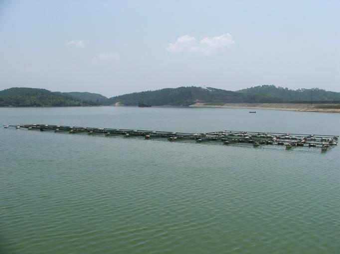47 Introduction Elite is an integrated aquaculture company operating: A tilapia farm (cage and pond production sites), A feed mill, and A processing/packing facility.
